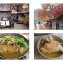 강변숲힐링캠프