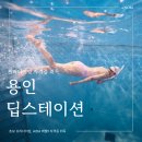 아쿠아스테이션 | 용인 딥스테이션 프리다이빙 강습 후기 / 자격증 취득