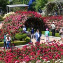 꽃과사람들 이미지