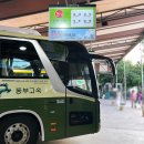 장호2리 | 강원도 뚜벅이 여행 삼척 장호항 버스로 가는 법 해수욕장 스노클링 스노쿨링 후기