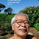 주책