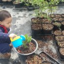 자매농장 이미지