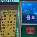 경수니네 이미지