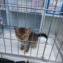 운봉동물병원 이미지