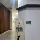 주식회사 창스파크골프 구로센터 | [방문후기]창스파크골프/스크린파크골프 구로센터점(개업식, 시설, 주차 정보)