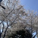 묵동천 제방 산책로