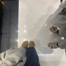 주모밥상 | 3월 1-2주차 일상 모음zip