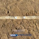 인천산곡남초등학교 이미지