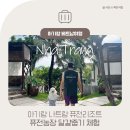 유인농장 | 아기랑 나트랑 퓨전리조트 퓨전농장 달걀줍기 체험