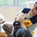 동천 유치원 이미지