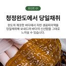 곰피미역 이미지