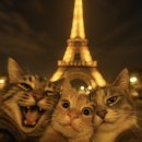 J-ne | Delf A2 시험 후기