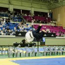 경희대 도복소리 태권도장 이미지