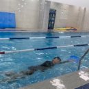 사품구단태권도장 이미지