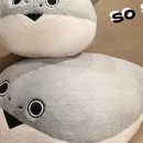 트렌디존 이미지