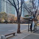 월성초등네거리 이미지