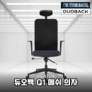 듀오백 Q1 의자 직접 써보니 편안함의 끝판왕! 허리 통증 끝내주는 솔직 후기