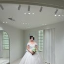 지니.케이카페 | 🕊️ [웨딩샵 계약] 지니케이 | 보네르 웨딩 | 드레스 투어 피팅 후기&견적 공유 | 대구 웨딩샵