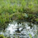 호미골체육공원 이미지