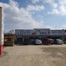 그옛날 토종닭 이미지