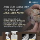 뿌리동물병원 치과센터 이미지
