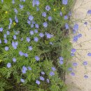 경기둘레길 이천38코스 이미지