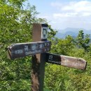 장성중앙초등학교 이미지