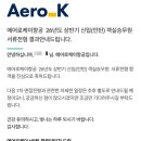 케이휴(K-휴) | 에어로케이 신입(인턴) 객실승무원 면접 후기 및 비판점 / Aero_K
