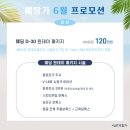 삐땅기의원 이미지