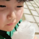 작은구름솜사탕 이미지