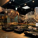 안면도쥬라기박물관 이미지