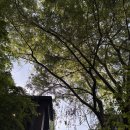 전북 군산 월명동 이자카야 &#39;주소&#39; 사시미모리아와세 내돈내산 후기