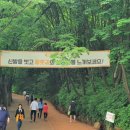 계족산 황톳길 이미지