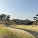 태인컨트리클럽 이미지