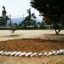 벌곡초등학교 이미지