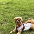 놀멍쉬멍고르멍 이미지