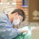 마리플란트치과의원 이미지