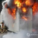 타운 샌드위치 이미지