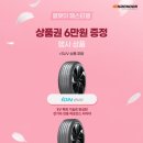 신세계타이어 이미지
