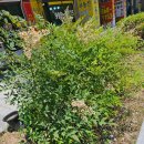 이도공인중개사사무소 이미지