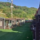 헬퍼독 애견펜션 이미지