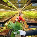 호천농장 이미지