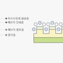 지아인테리어 이미지