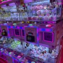 라라랜드(영통점) 이미지