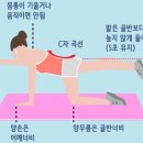 SBPT 이미지