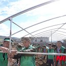 묘하우스 이미지