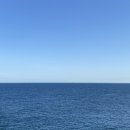 감포시장 이미지