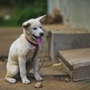 금골농장 이미지