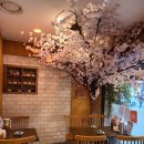 정릉61 | [내돈내산_맛집/연화객당/정릉역] 생선회 어종만 10가지 이상, 숙성회 전문점