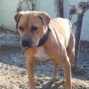 강일 농장 이미지